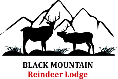 Black Mountain Reindeer
